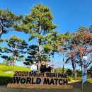 스톤게이트C.C 이미지