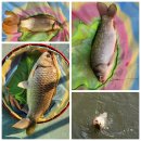 배양낚시터 이미지