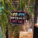 쑤앤쑤 네이버블로그