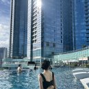 조은정비서비스 | ❛ 부산 시그니엘 호텔 숙박 후기 ❜ : SIGNIEL 프리미어 트윈 미포하버뷰, 수영장, 라운지