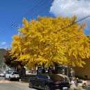 대율마을회관 이미지