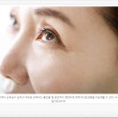 눈건강을 위해 알로에마임 알렌 복용후기