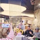 중앙동260 | 안산 맛집 마이어스 뷔페 부모님생신 파티,가족모임 후기