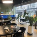 폴이네키친 이미지