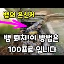 뱀 퇴치 100% 이미지