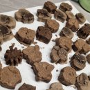 정리수납전문가 취미반 이미지