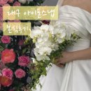 대구 가성비 아이폰스냅 블리스스냅 본식후기