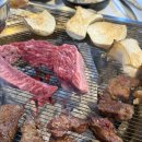 롯데리아단양점 | 단양 소고기 맛집 별빛회관에서 꽃등심 후기