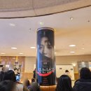 뮤지컬 웃는 남자 후기, 오페라극장 2층 B블록 2열 12,13