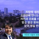 자연과 사람의 조화로운 만남 (성천 김성수시인) A harmonious encounter between nature and man 人与自然和谐相处​ 김성수대표 속초해변을바라보며롯데리조트 이미지