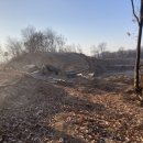 궁전아파트건너 이미지