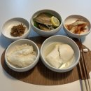 솔 집밥 | 신혼부부식기세트 추천 솔솔푸른솔 그릇 후기 🌿 (6개월 실사용)