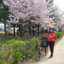 탄동천-2 이미지