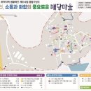 매당 웹이코노미