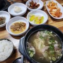 배동삼릉 | 경주남산 삼릉숲 과 대릉원 벚꽃 트레킹