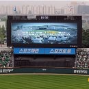 감사합니다