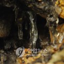 SK텔레콤청송 연합뉴스
