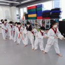 무지개태권도장 이미지