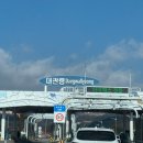 농업회사법인양떼구름(주) | 눈 내리는 초원 위 겨울동화 같은 대관령 양떼목장 강원도 눈구경하기