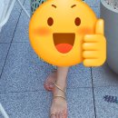 [달고양이 가족여행] 발리/쿠타 가볼 만한 곳, 비치워크 쇼핑센터 후기｜쇼핑·식사·기념품 팁까지