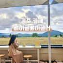 경주 베이글베이글러 주차, 백일홍 포토존 후기