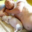 마시소 Daum카페