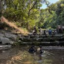 병목안 캠핑장 | 🏕️ 안양 병목안 캠핑장 후기 — 여름 계곡과 함께한 첫 캠핑