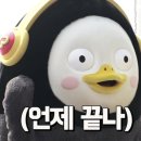 펫엔글라이더 대전점 이미지