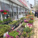 초원꽃화원 이미지