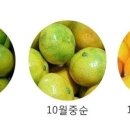 훈이네 농장 이미지