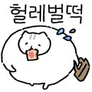 고메이 퍼피 이미지