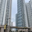 향동중학교 이미지