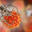 CW-1816-01 이미지