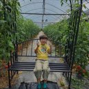 은진농장 | [서울 강남 가볼만 한 곳,데이트 장소 추천] 은진농장 서울 강남 은진농장, 아이와 함께하기 좋은 체험장