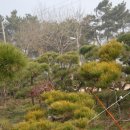 우송농장 이미지