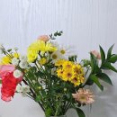 정아농장 | 매일 새벽 경매로 선별한 생화 정기구독, 정아네식탁에서 받은 싱싱한 계절 랜덤 꽃다발 후기