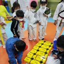 MTA그린태권도 이미지