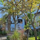 죽성에 머물다 이미지