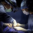 장기상회 이미지