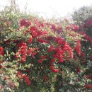 대산미술관 이미지