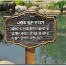 춘향전집 티스토리