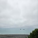 1월11일~24일 뉴질랜드 12박 14일 뚜벅이 여행기-3(카이코우라-물개, 크레이피쉬먹기, 돌고래수영) 이미지