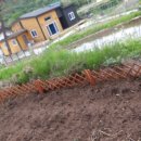 뒤뜰농장 이미지