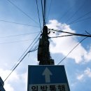 스튜디오본비