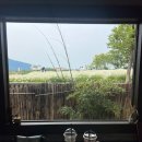 도평커피 이미지