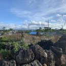 신흥부부민박 이미지