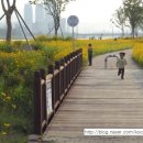 주여비네 이미지