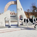 3030 영어 임실러닝센터 이미지