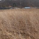 신니면사무소 이미지