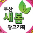 콩자김밥